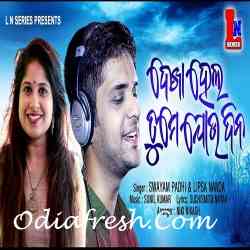 Dekha Hela Tume Joudina